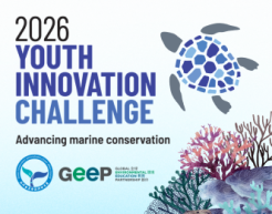 A graphic of a turtle next to a watercolor coral reef advertising the 2026 Youth Innovation Challenge