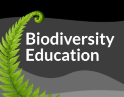 "Biodiversity Education" with a green curling fern on the left