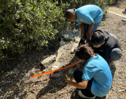 Three children outdoors lean over a mini aqueduct they are building for an E-STEM event
