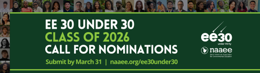 The EE 30 Under 30 Class of 2025 photos on a bright green background