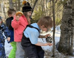 A group of young students examine tree back in a snowy forest.