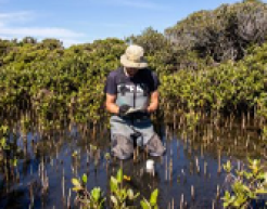 A man kneels in a creek, examining the water