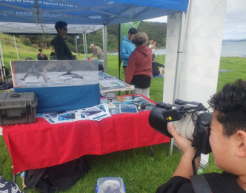 A person holds a camera pointing away from the viewer and toward a covered booth with information about dolphins, people are standing around it
