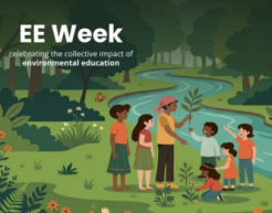 EE Week, illustrated group at a creek