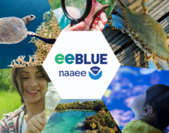 Six photos of marine life and education with eeBLUE logo in center
