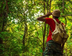 A man with a backpack&nbsp;stands with his back to the camera, looking out over a lush and dense forest.&nbsp;