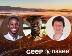 The headshots of Ledama Masidza,&nbsp;Hobson Agyapong, and&nbsp;Linda Godfrey&nbsp;against a setting sun over a field. The GEEP and NAAEE logos are in the lower right corner of the graphic.
