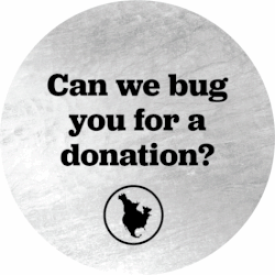 Can we bug you for a donation?