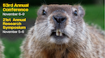 Close-up of groundhog with two big front teeth